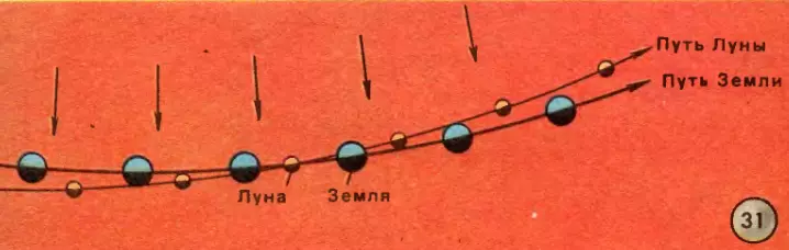 Движение Земли и Луны вокруг Солнца