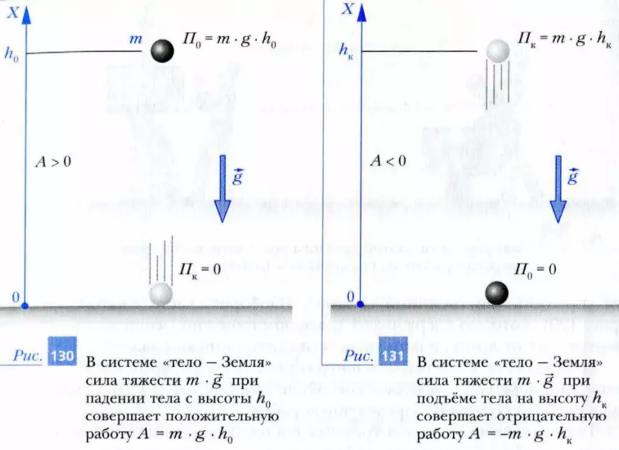 Работа силы тяжести и потенциальная энергия тела