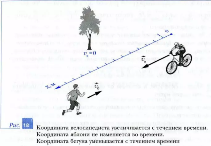 Тела, чьи координаты увеличиваются, уменьшаются и не изменяются с течением времени