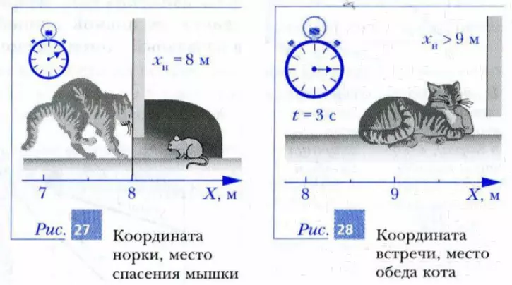 Координаты норки