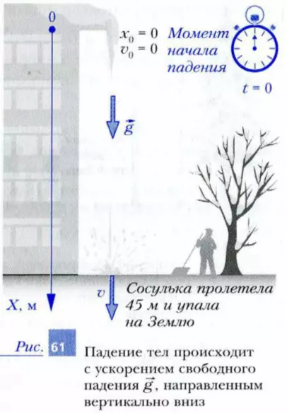 Падение тел с ускорением свободного падения