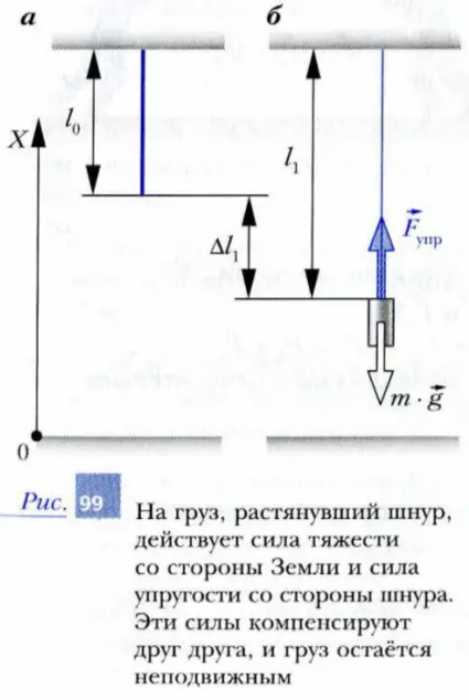 На груз действуют две силы: сила тяжести и сила упругости