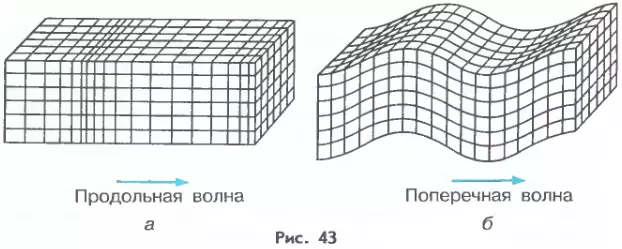 Продольная и поперечная волна